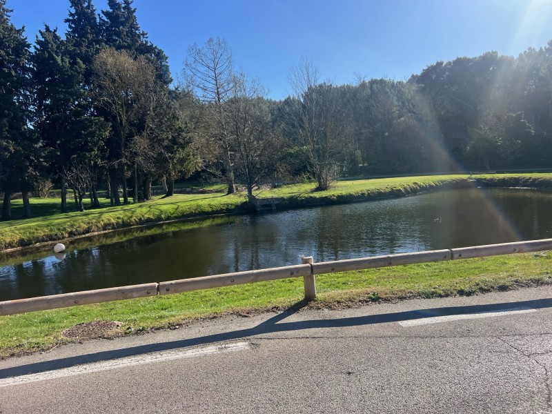 Livraison de bois de chauffage, pellets et bûches compressées à Pont Royal commune de Mallemort