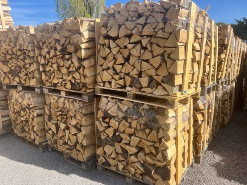 Palettes de bois de charme